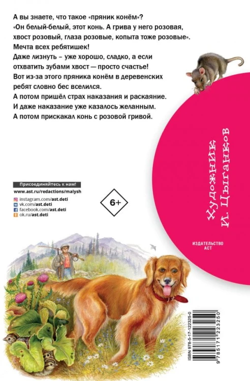 cover4__w600.jpg