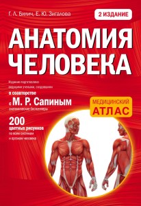 Anatomia człowieka (po rosyjsku)