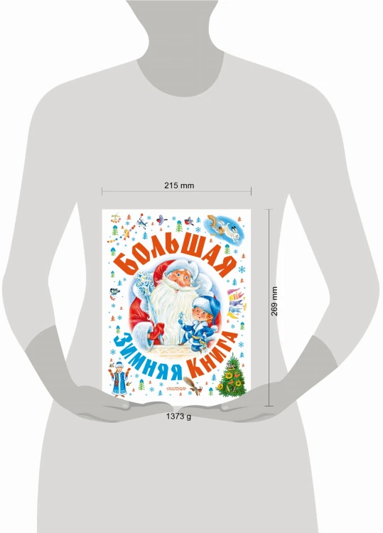 Большая зимняя книга