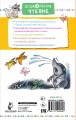Меховой интернат
