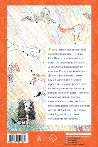 Кыш и Двапортфеля