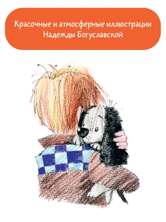 Кыш и Двапортфеля