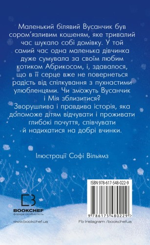 Вусанчик, або Cором'язливе кошеня2.jpeg