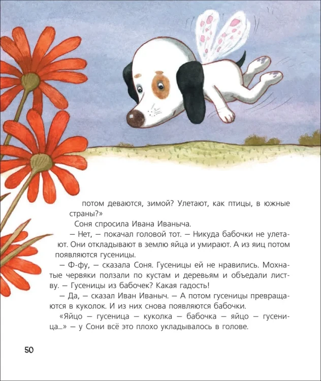Собачка Соня на даче6.webp