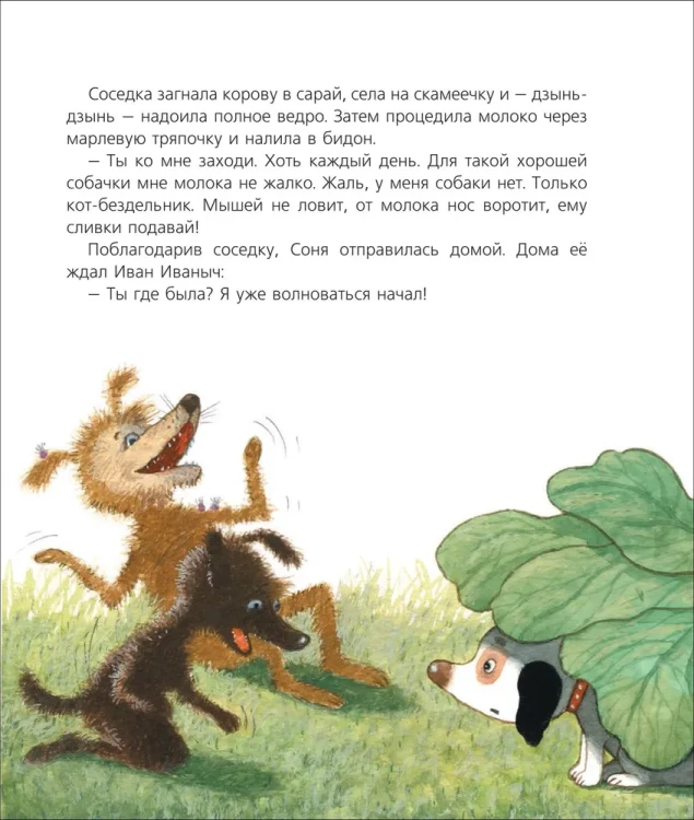 Собачка Соня на даче9.webp