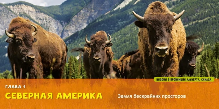 Моя первая большая книга О мире2.jpg