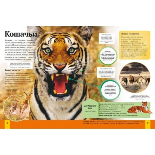 Детская энциклопедия животных2.webp
