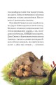 Герої дикого лісу. Порятунок від смутку3.jpg