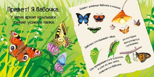 Знакомься я букашка 2.jpg