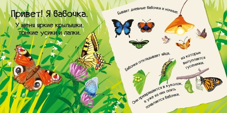 Знакомься я букашка 2.jpg