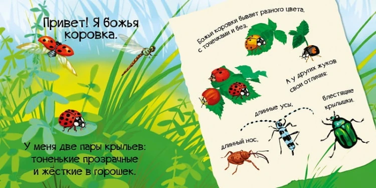 Знакомься я букашка 3.jpg