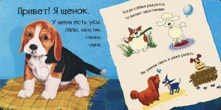 Знакомься я щенок 2.webp