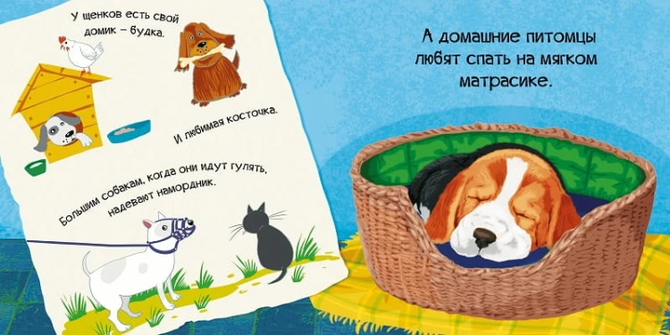 Знакомься я щенок 3.jpg
