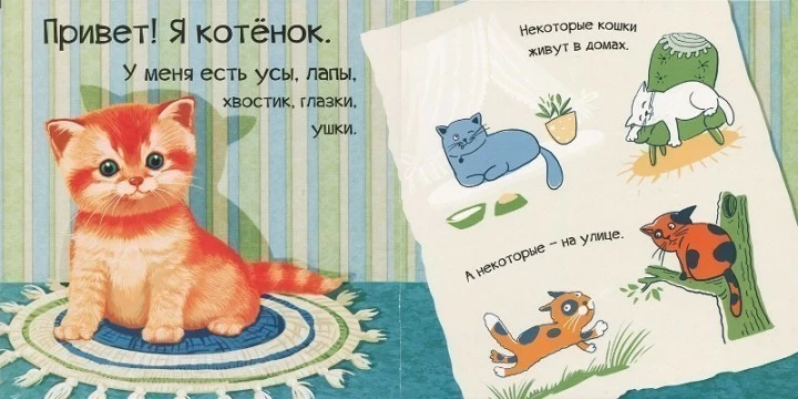 Знакомься я котенок 2.webp