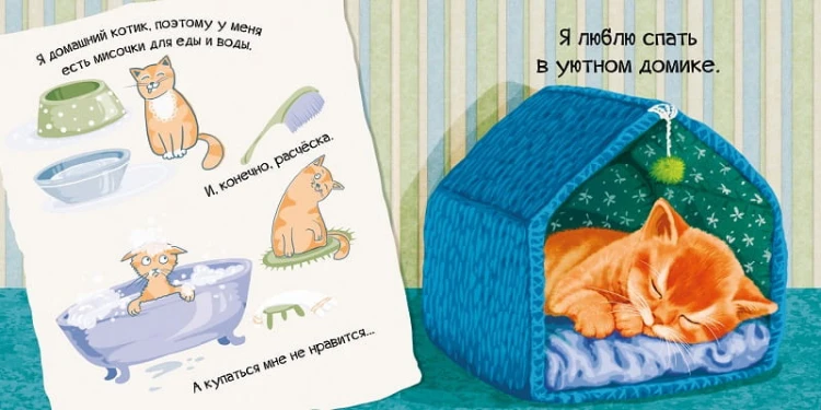 Знакомься я котенок 3.jpg