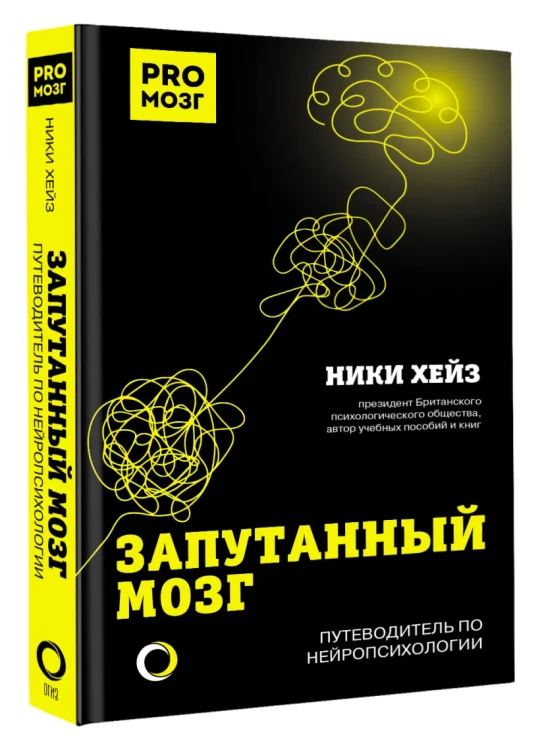 Запутанный мозг. Путеводитель по нейропсихологии.webp