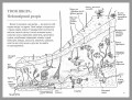 302451556.jpg