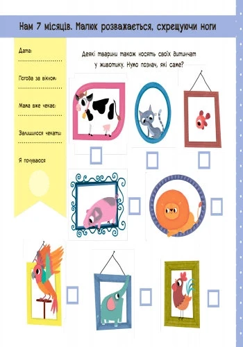 2.webp