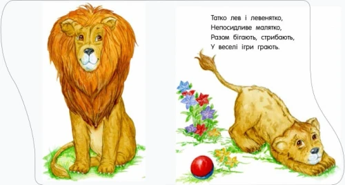 2.webp