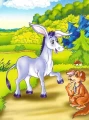 3.webp