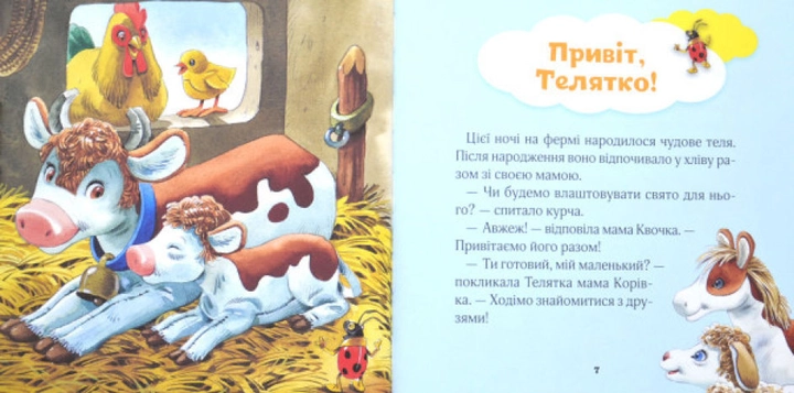 3.webp