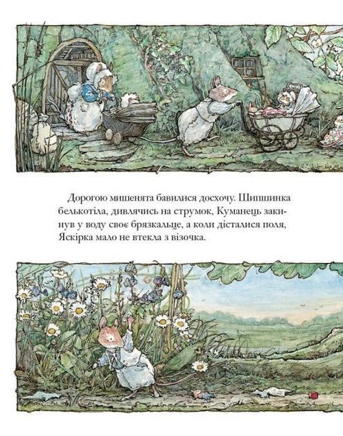 3.webp