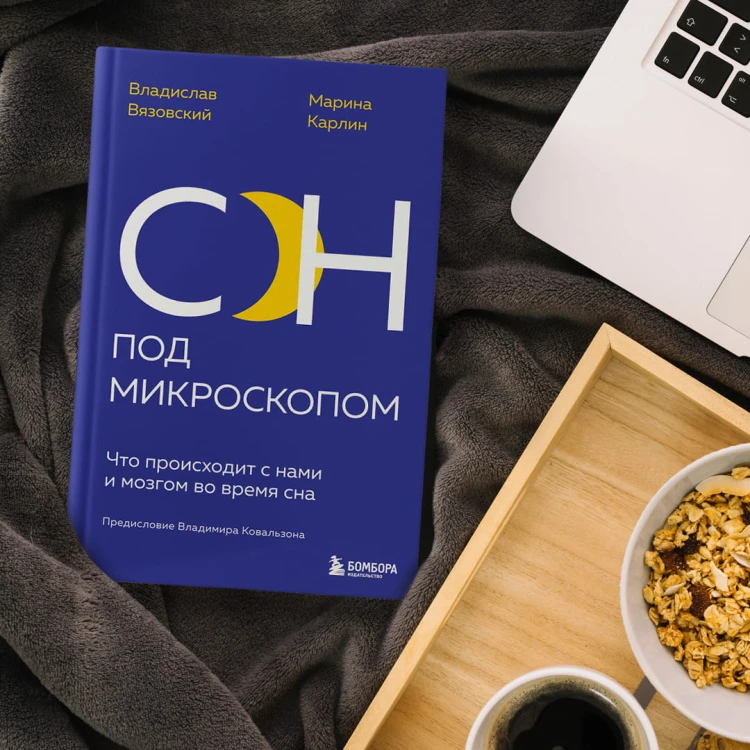 Сон под микроскопом. Что происходит с нами и мозгом во время сна