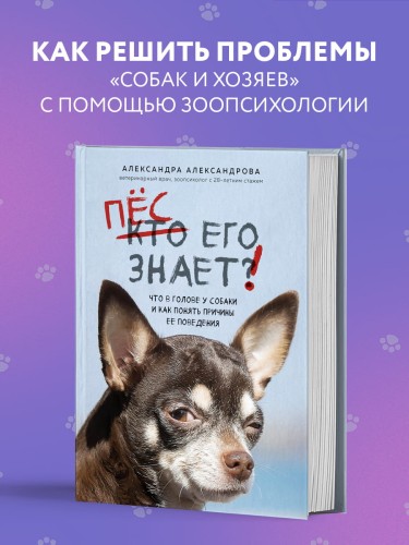 Пес его знает! Что в голове у собаки, и как понять причины ее поведения