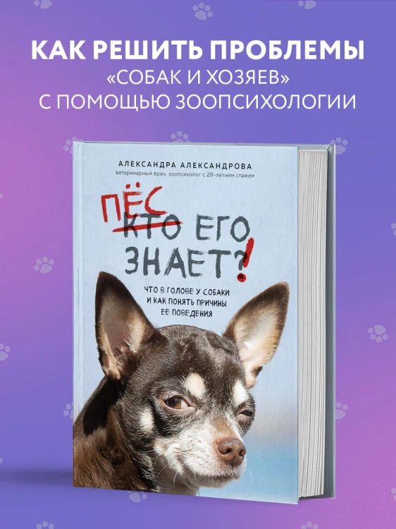 Пес его знает! Что в голове у собаки, и как понять причины ее поведения