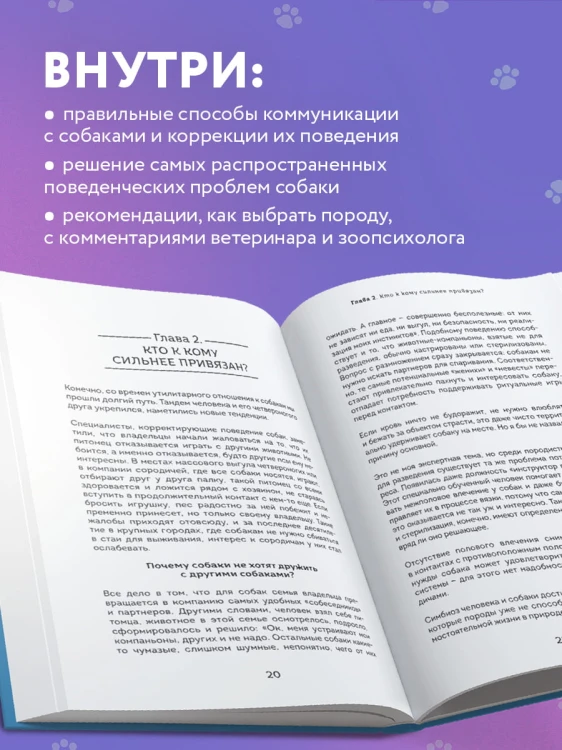 Пес его знает! Что в голове у собаки, и как понять причины ее поведения