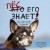 Пес его знает! Что в голове у собаки, и как понять причины ее поведения
