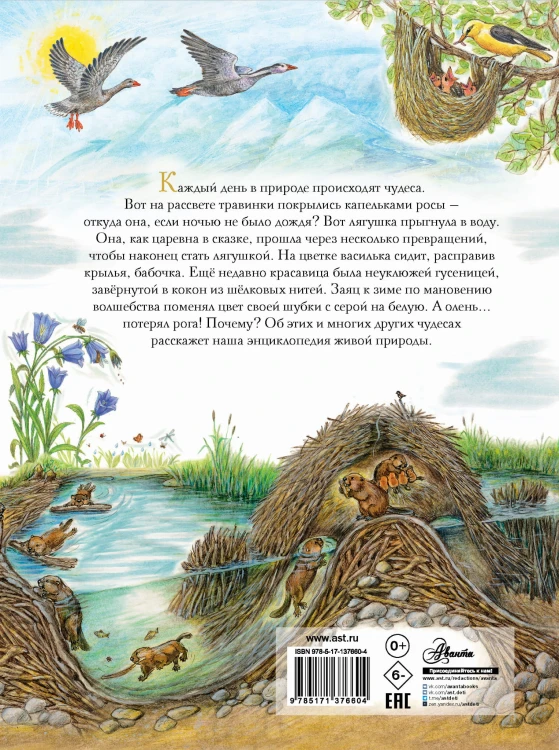 Чудеса природы. 50 историй в картинках для детей