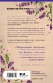 Лето в Провансе