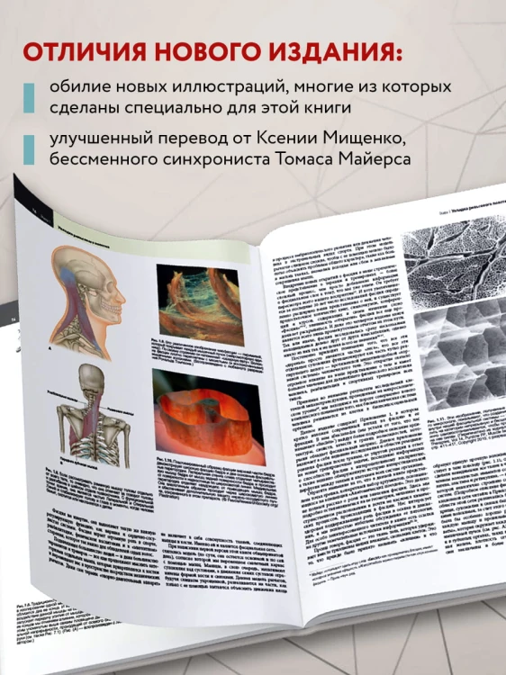 Анатомические поезда. 4-е издание