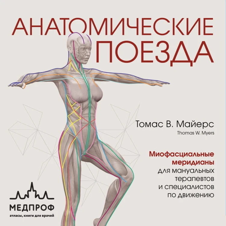 Анатомические поезда. 4-е издание