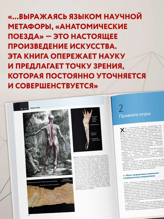 Анатомические поезда. 4-е издание