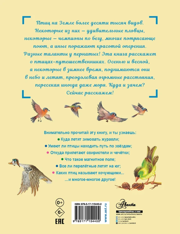 Куда летят перелётные птицы?