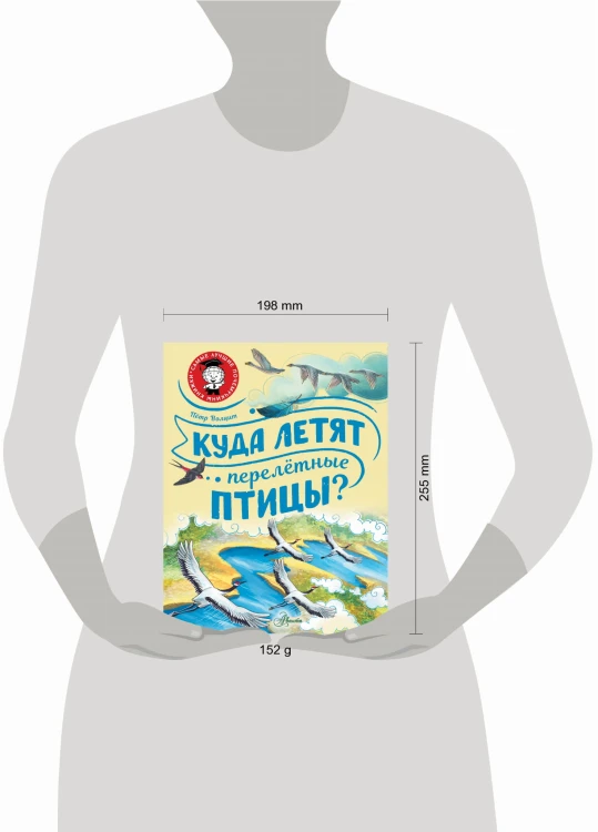 Куда летят перелётные птицы?