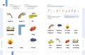 Буквы. Учимся уверенно узнавать буквы и слова. 5-6 лет