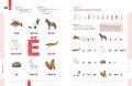 Буквы. Учимся уверенно узнавать буквы и слова. 5-6 лет