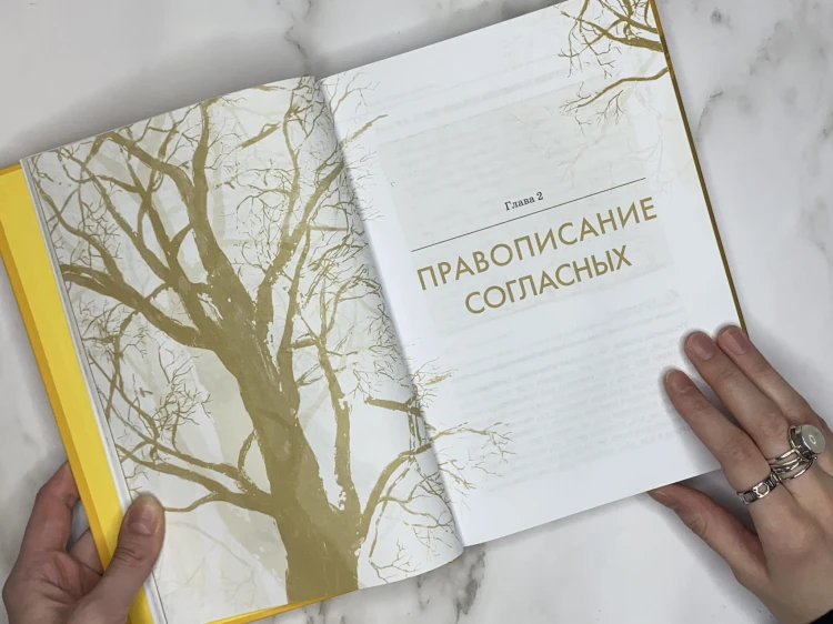 Русский язык. Орфография