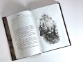 Разбитая наковальня