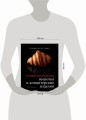 Профессиональные выпечка и кондитерские изделия. Кулинарный институт Америки