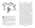 Вороновый круг. Король воронов (#4) (подарочное оформление)