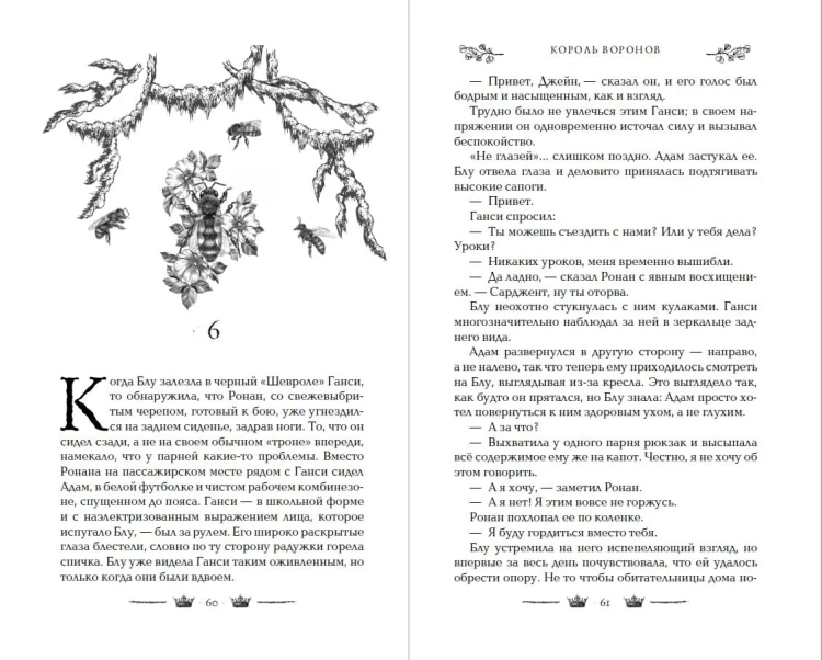 Вороновый круг. Король воронов (#4) (подарочное оформление)