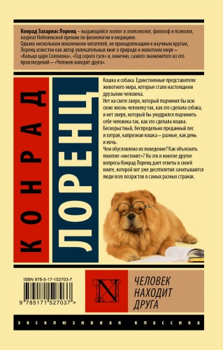 Человек находит друга