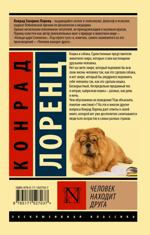 Человек находит друга