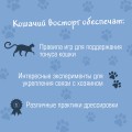 СаМЯУчитель. Как правильно играть с кошкой