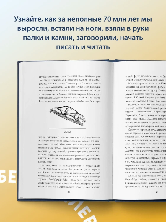 Палеонтология антрополога. Комплект из 3-х книг