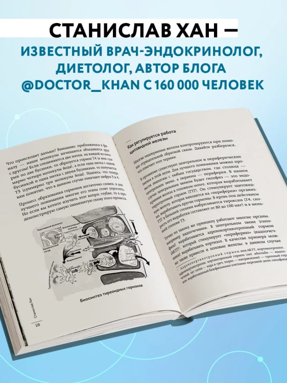 Страсти по щитовидке. Аутоиммунный тиреоидит, гипотиреоз: почему иммунитет работает против нас?